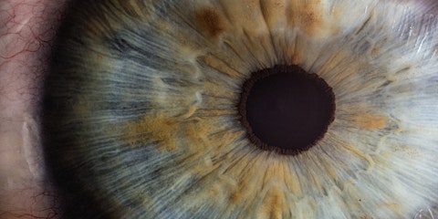 Human eye.